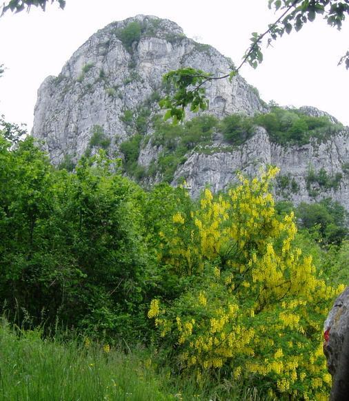 Corno di Canzo Occidentale salendo dalla III alpe