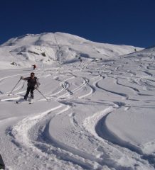 nell prima metà alta