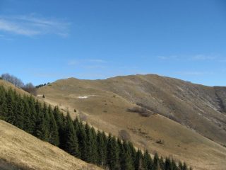 La dorsale di salita