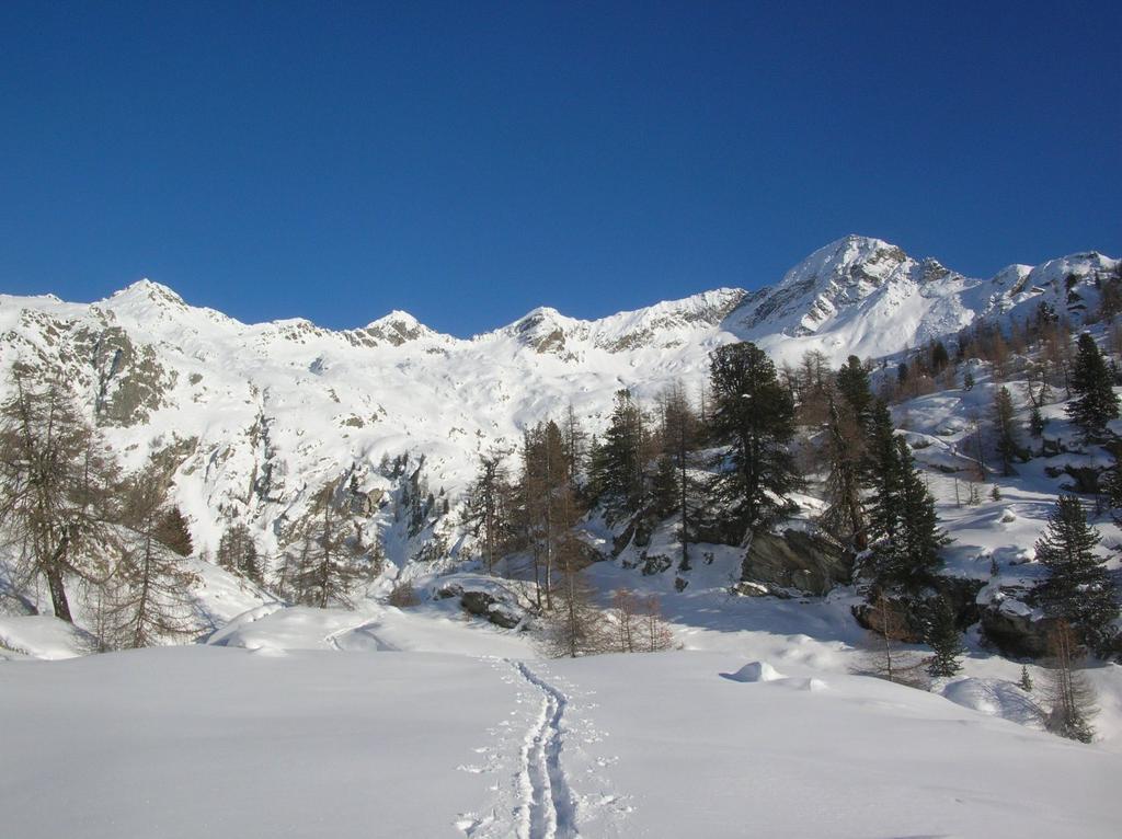 Testata del V.ne di Scherpia dal pianoro a quota 2100m ca. Al centro le quote 2728m (a sin.) e 2794m (a dx). Più a destra il Corno Rosso.
