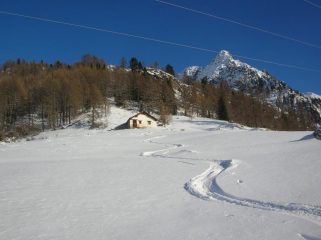 Ultime curve sotto la più inferiore delle grange dell' Alpe Hoberg (1887m).
