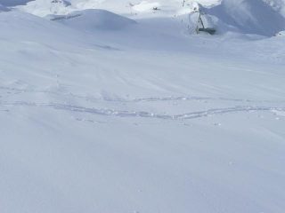 Prima del trattamento...