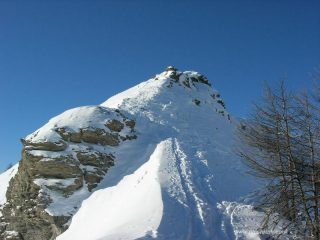 parte mediana C. Zalet