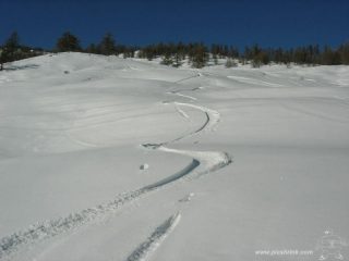 belle curve in alto foto marco conti