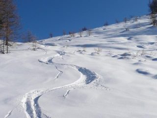 Farina nella parte bassa