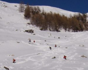  SI PENNELLA