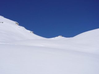 Bei panettoni