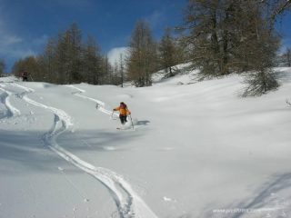 podina foto m.conti