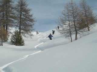 tra i radi larici