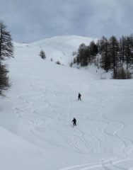 discesa, entrando nel bosco