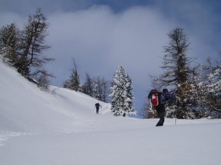 uscendo dal bosco