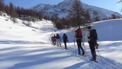 gruppo