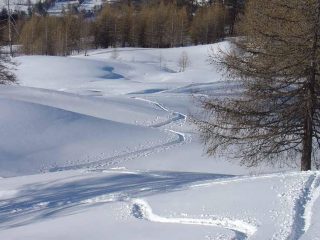 Pendii aperti da metà gita