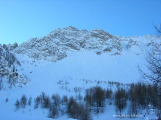 il Freide