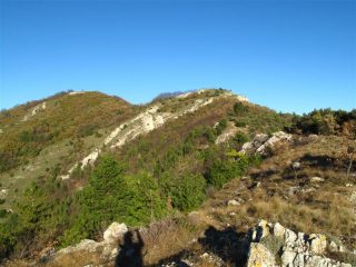 Il Poggio Grande