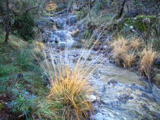 Il torrente Auzza