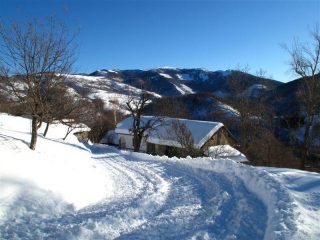 Lungo la strada battuta dal gatto