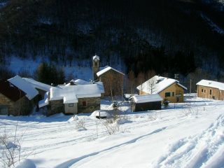 tetti folchi