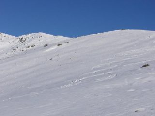 In tanti punti primaverile