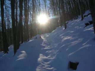 La faggeta a monte di Boden.