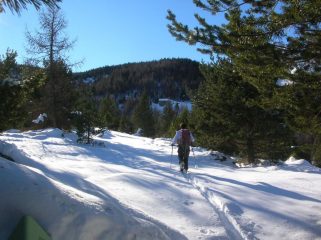Verso l'Alpe Quicord (1650m ca.).