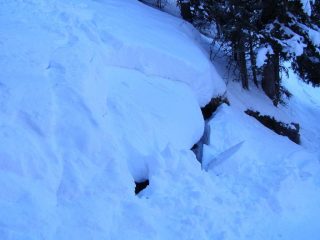 piccolo distacco tra stati di neve nel bosco