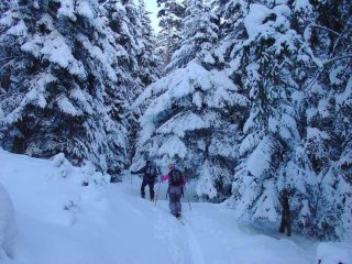 Nel paradiso bianco