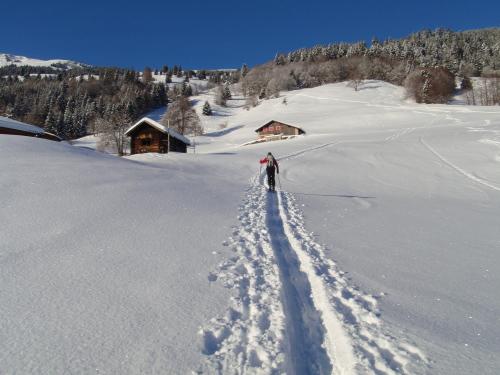 in salita allo stelli