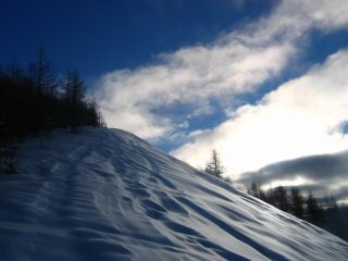 Ai confini del bosco...