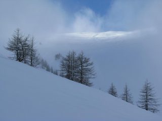 La vetta del Saccarello 