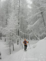 spettacolo  foto marco conti