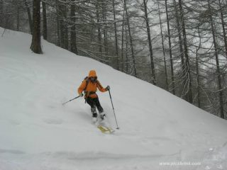 ormai sopra la statale