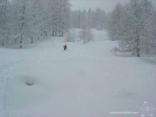 neve canadese in alto