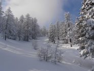 14 - nella parte alta la ex-pista Remolon è più evidente