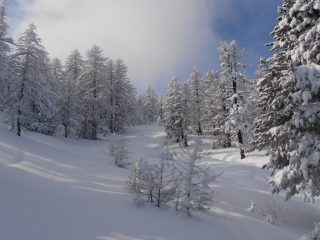 14 - nella parte alta la ex-pista Remolon è più evidente