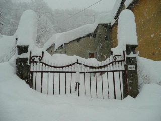 Antifurto naturale...