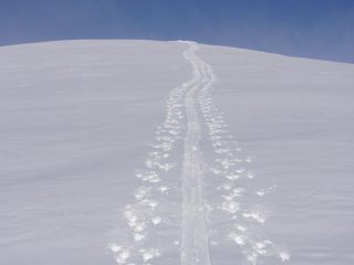 Salendo alla Muanda