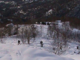 in uscita dal bosco