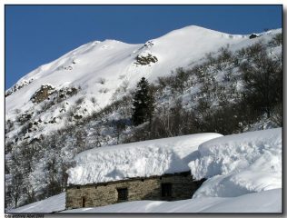Il crinale finale dall'Alpe Pian Campello