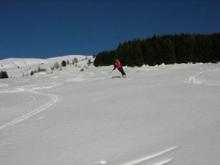 mark dopo la pineta foto podina