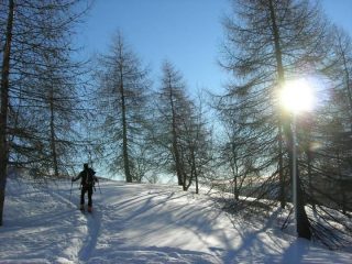 foto marco conti