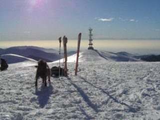 Il Nosi allagionale regge benea sua secnda gita st