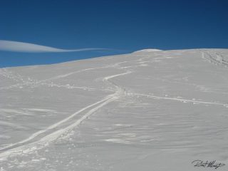 qualche bella curvetta si faceva :-)