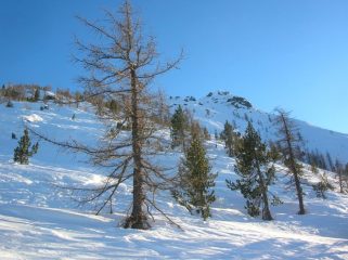 Dorsale e sommità (sulla destra) del Bec di Nona.