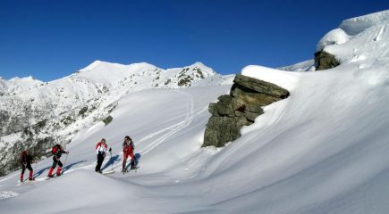 quasi in cima