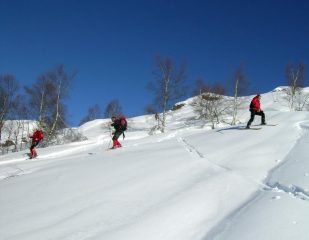 discesa