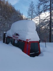 Gatto delle nevi