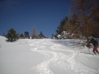 parte bassa