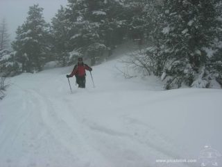 powder canadese