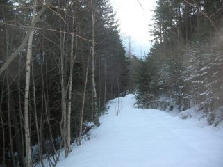 La carrareccia che riconduce sulla poderale per l' Alpe di Valmeriana al termine della discesa.